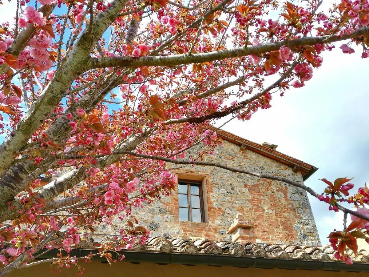 Séjour à la ferme Villa Borgo dé Brandi à Monteriggioni